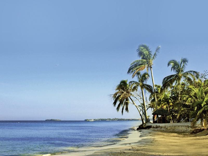 D8CEBA09A416550D0FBEAB464063233C