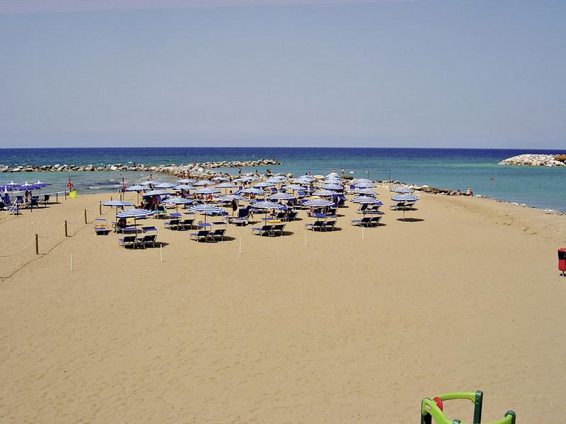 F2BEC911D451C8F5481C9896C4328047