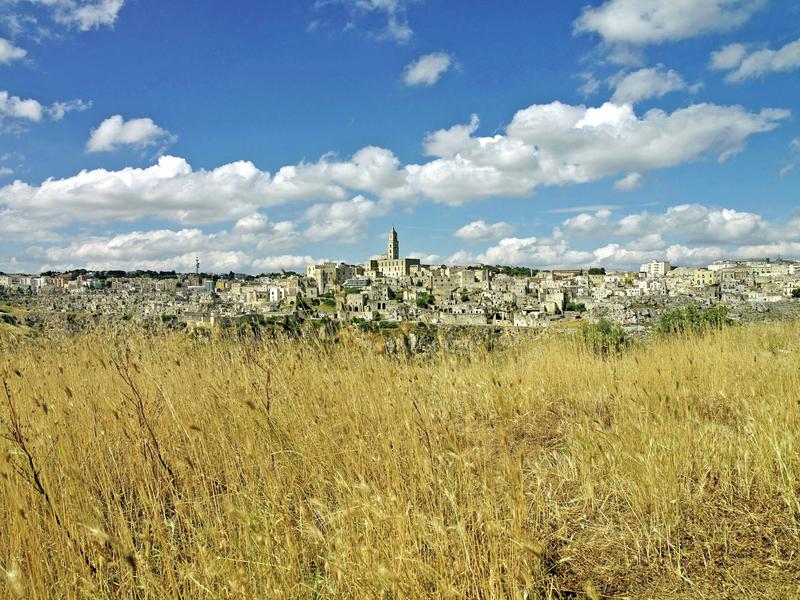 1462ED69D0F6BBDB5BEE25509D85004B