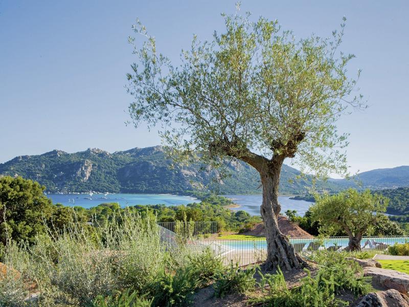 05FF293939E9D141A12563CB53F32D59