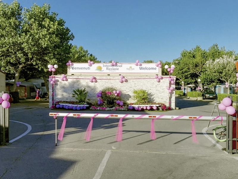 D65EE6EFAE80AF6E649469FBD1A331A1