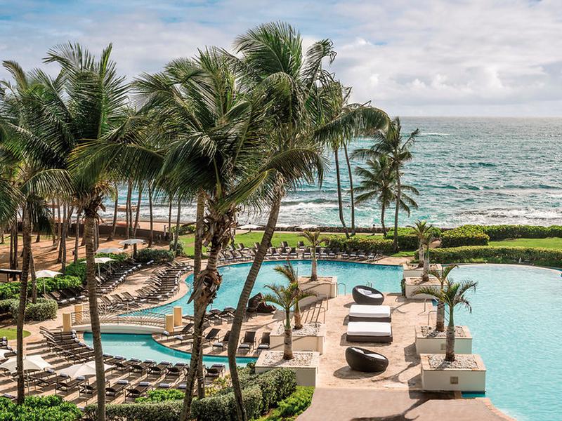 A5241D6DE3C315C8AAFE3E95EB769DD6