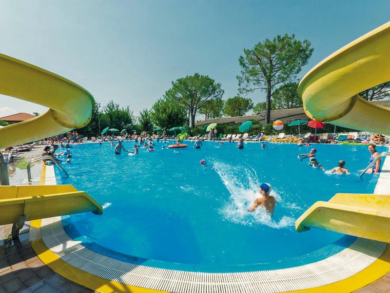 D56E63B39C2B1294A882FB0F28F364B9