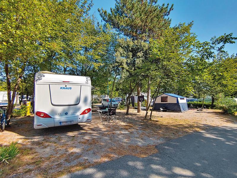 ECA9AF4DE688968330F3B653021DB81C