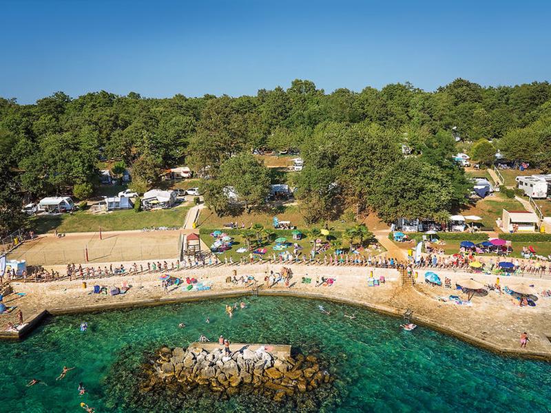 95C2B5ACD04B2339E2185BB0CA3DDF0C