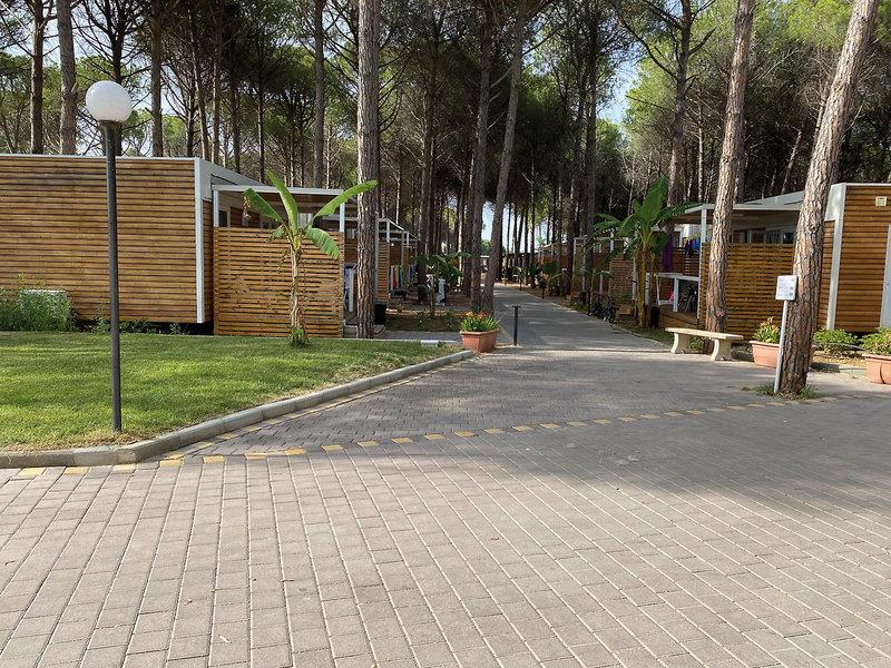 087AF3411230A473E30071555A7A09A4