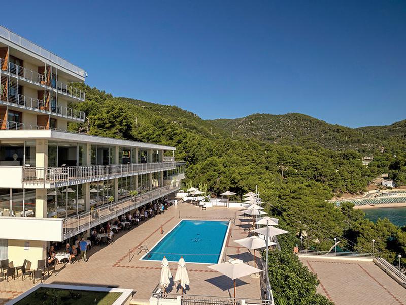 D489C6BCD7C1FEFA479339A43022654A