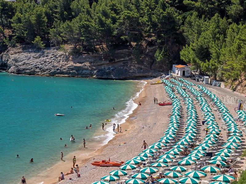 E9EC6BC632286ABF2D6518F1DD82A20D