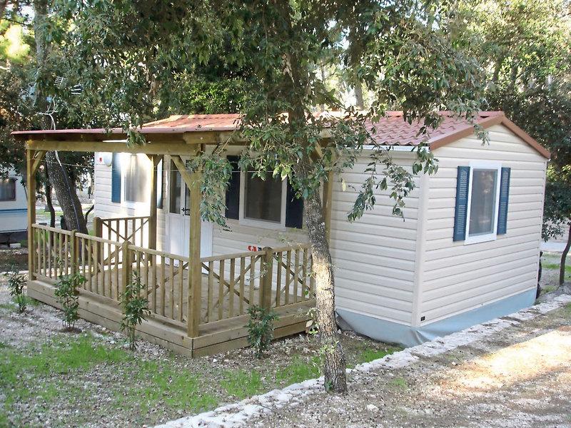 32B6B6E40FC4703F532B9DCA94D4F9D1