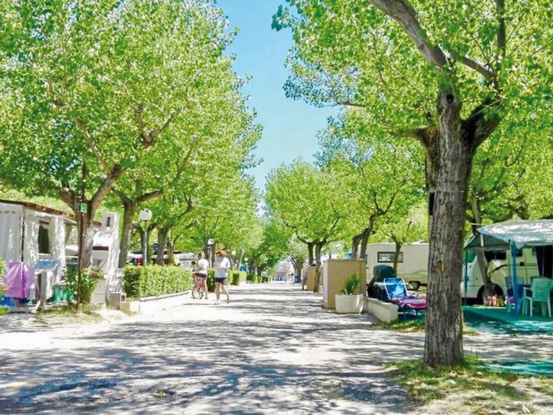 074ED6A7942EFDDB224F1A905597ED85