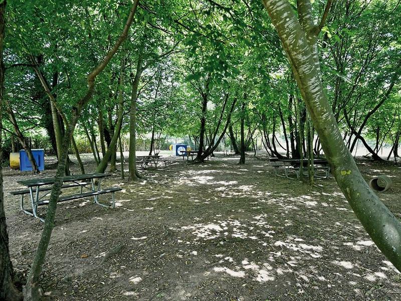 E776E37B3426441271FB4B9EC022A1A8