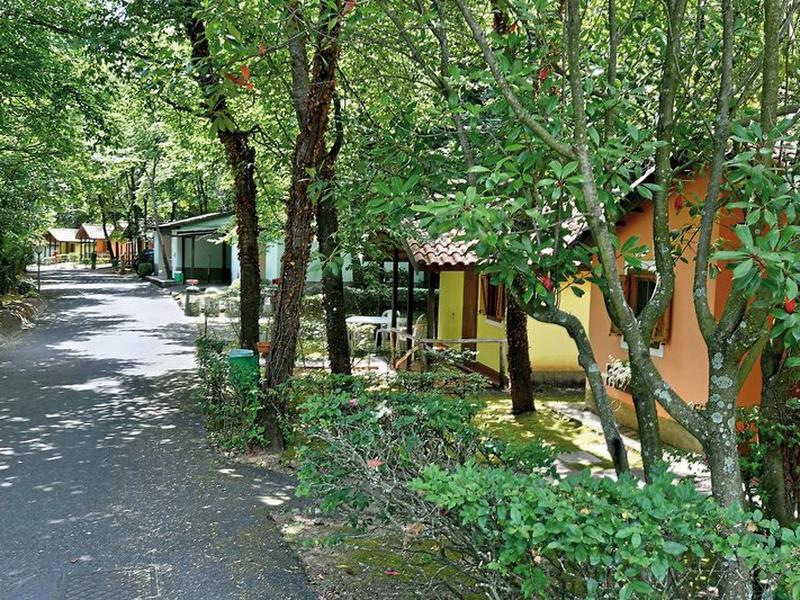 FF613879BE8832D0E2032CEF25E191E5