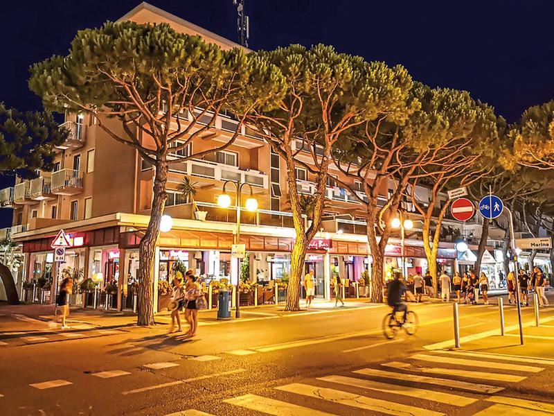 C0F5D6AAD4D771CECA88AD518E480741