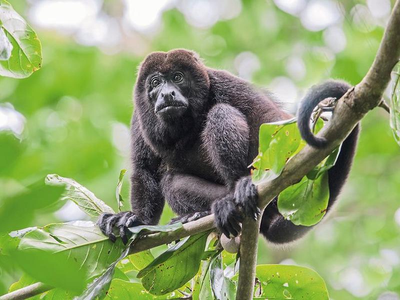 DE8F84CF0D4A1F367320AB5DB83E38CD