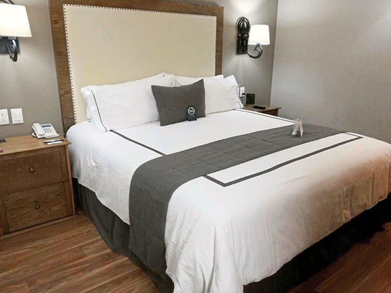 C3D5F06CD2328C4C2631670716850364