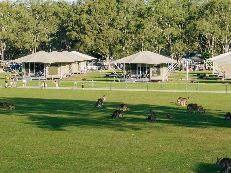 091181C2D58ACE9C3E9665C3C546D964