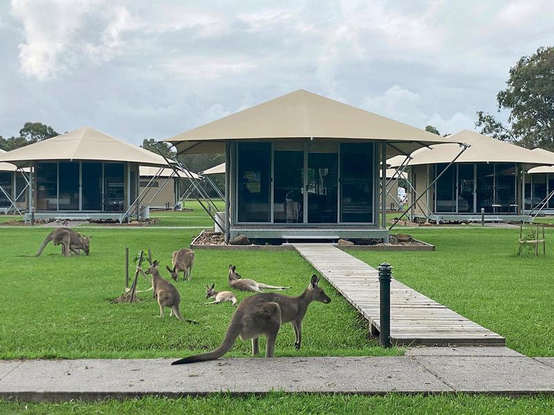 6550445DA2058345A47A97EA0B5C42A7