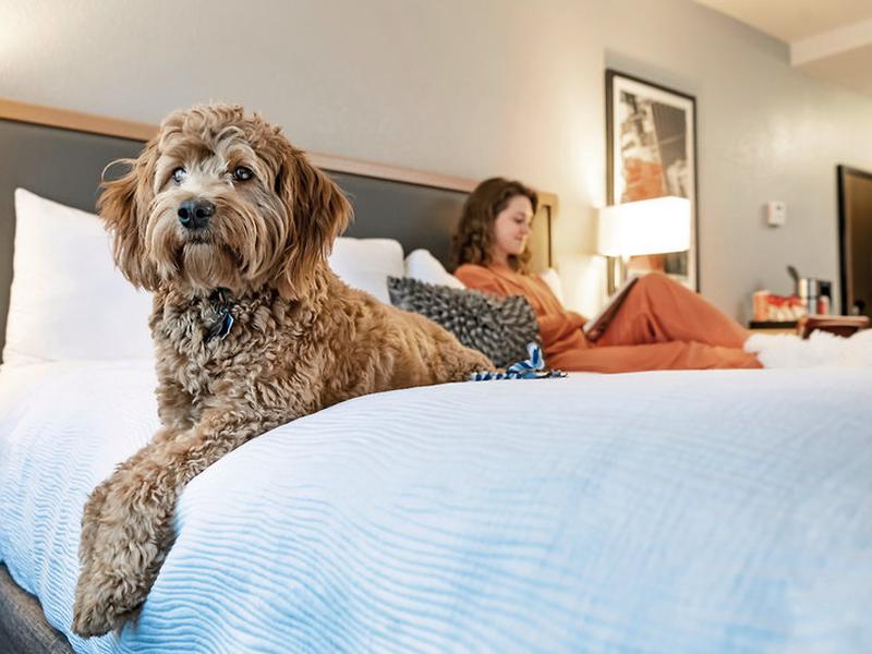 6297BA6AB1029B8DC391D7AF02024C8F