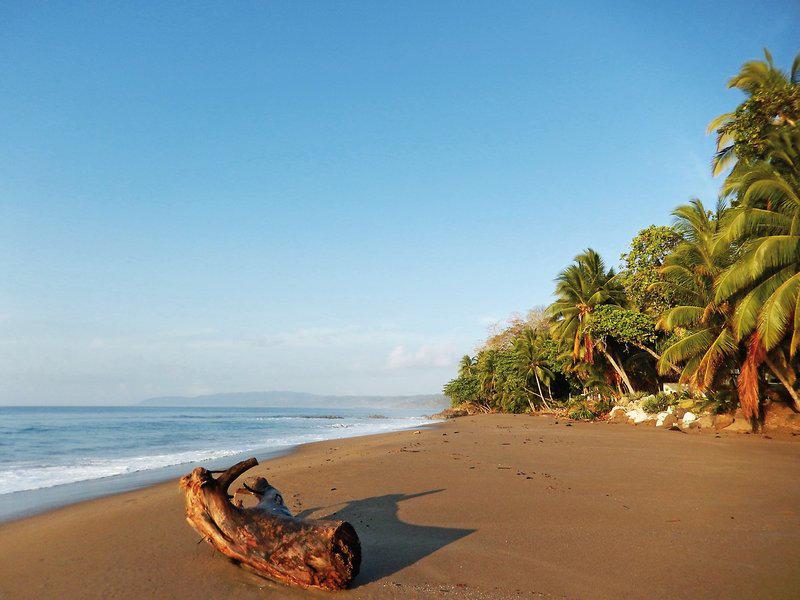 E2917F73D88C15D0FFFD54BAB36A2DCC