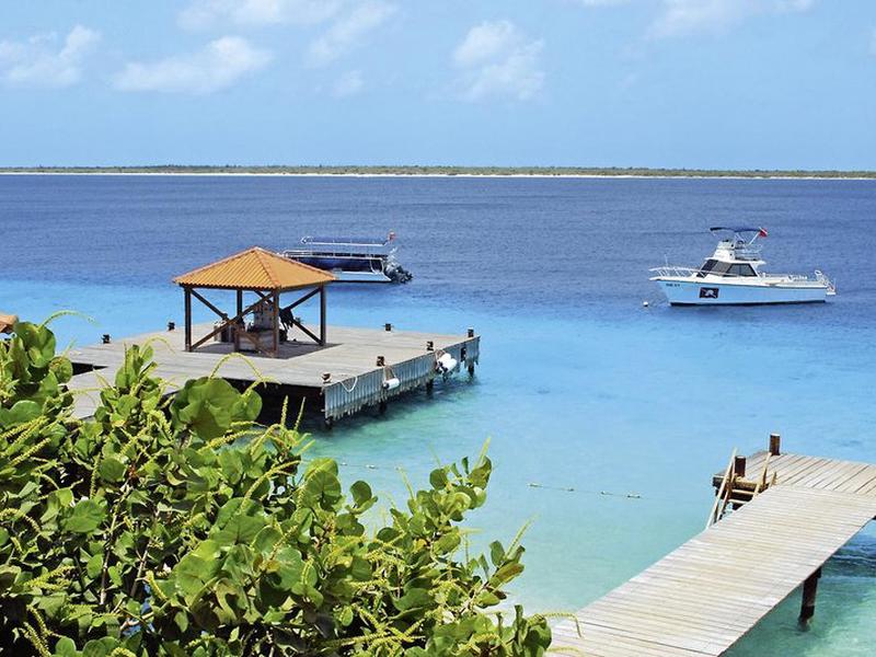 87E8095B6E3BE4A02FBF629559F6DCE0