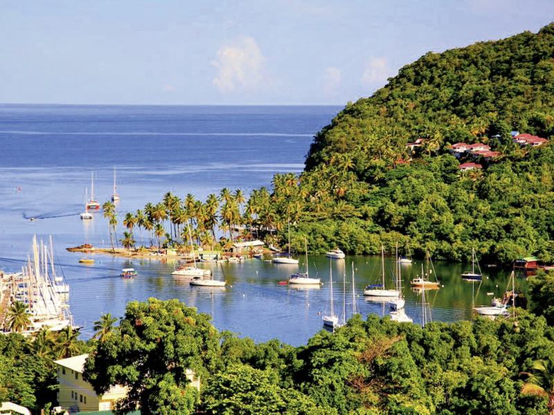 3870852FD65FA85A4CD061178A220264