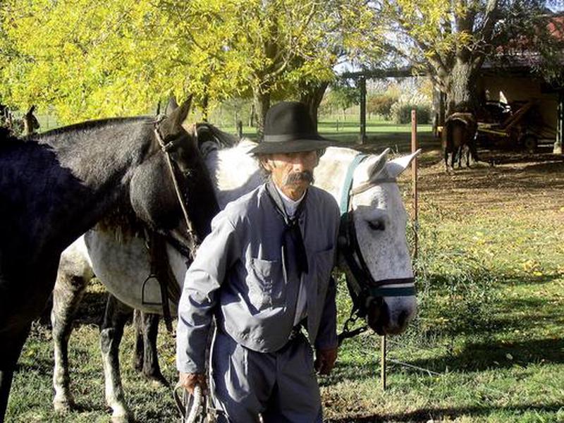 0DCA2D0EC8476950D327ADF2AFB88210