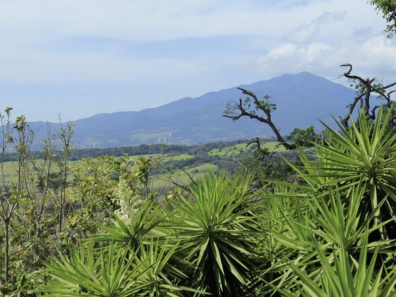 D5866D5FBE6810E2FDCE5F261189B5CC