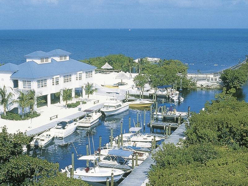 28CF93D516ACEF1B24FE7921829E5B44