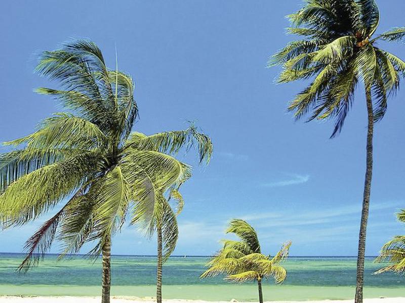 A58748FB2154CB9B3ADF90528B0F060B