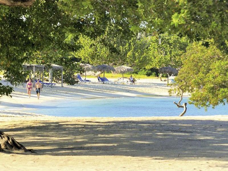 DDF26917F2E5D1E20DD05A81E5D3BDAC