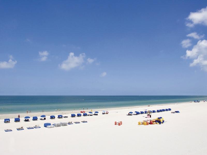 B6EDC072AC0E7A094A4199427A02A890