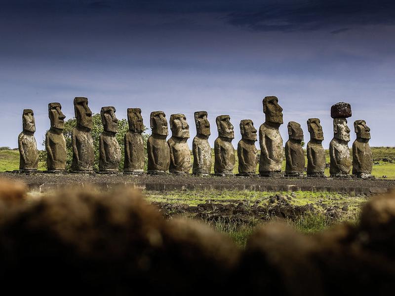 F319AA95E983EF5193F657EE880D22D9