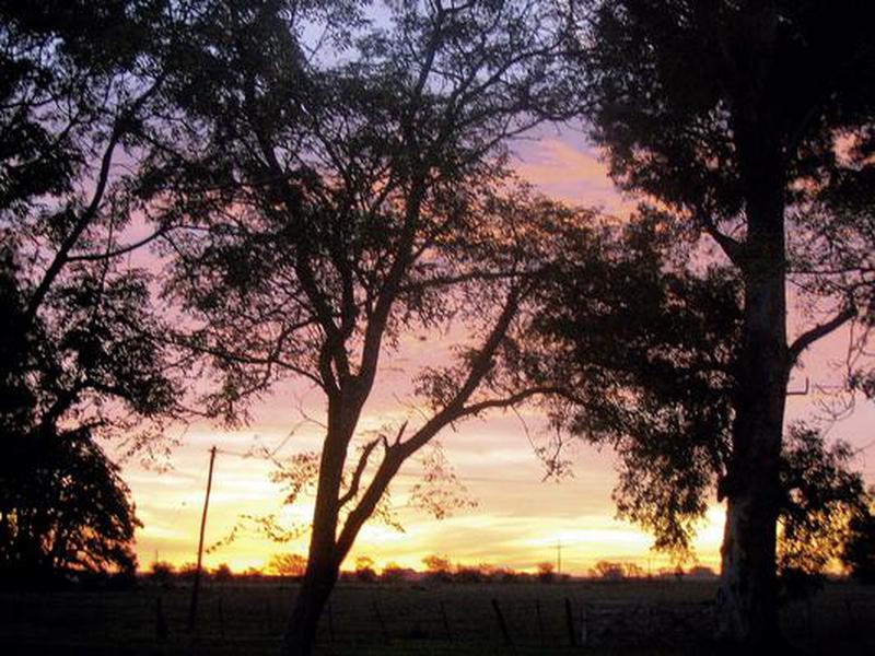 106349591F030CD31F8C78E6D2792D64