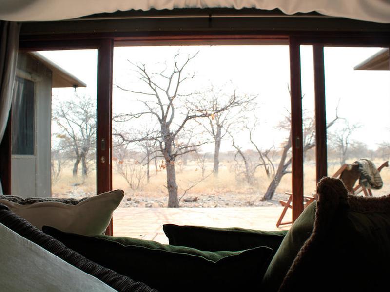 C656B0C3D4B9EA193C510BD8A09D4D89