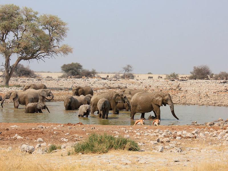 F2F0BA906B7EE35536634798CEEFD713