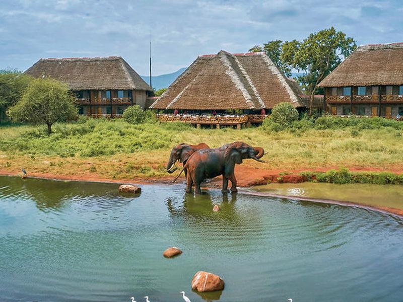 799D6EB5785A704927BCE0BAB87F08AF