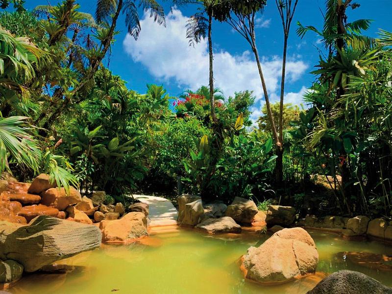 992B338485BAA358EE8989C534A1C7BD