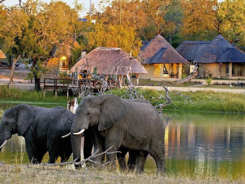 F5C0D1FB747EB6C98F3D1CA1A15DD2BE