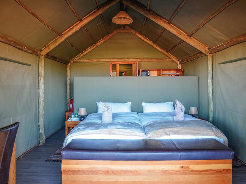 7836C06E9C06E80BE482632DF5098467