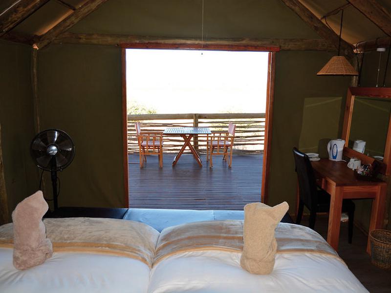 E1DD808850FF0A216775A4A0B0706F5C