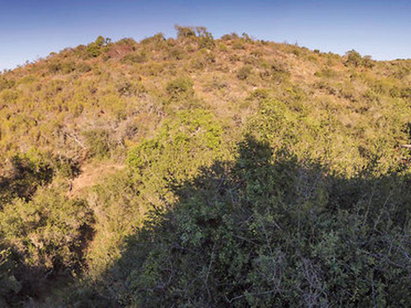 C4B245646786319CECF81217E656472B