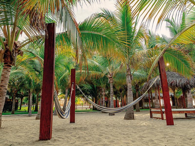 94E52FCB6951B3547F0DC96DA14DFBBB