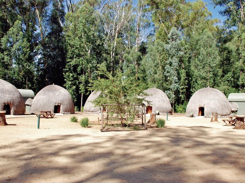 438214019ADA9567E3E811BA61F60EB7