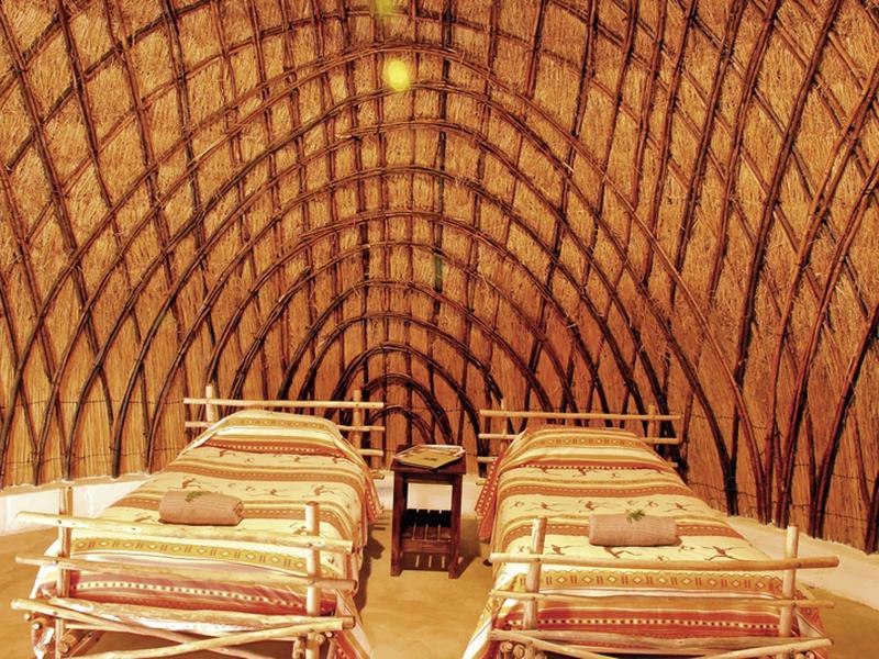 EEC62049EFBAF154DFD47446BED12B37