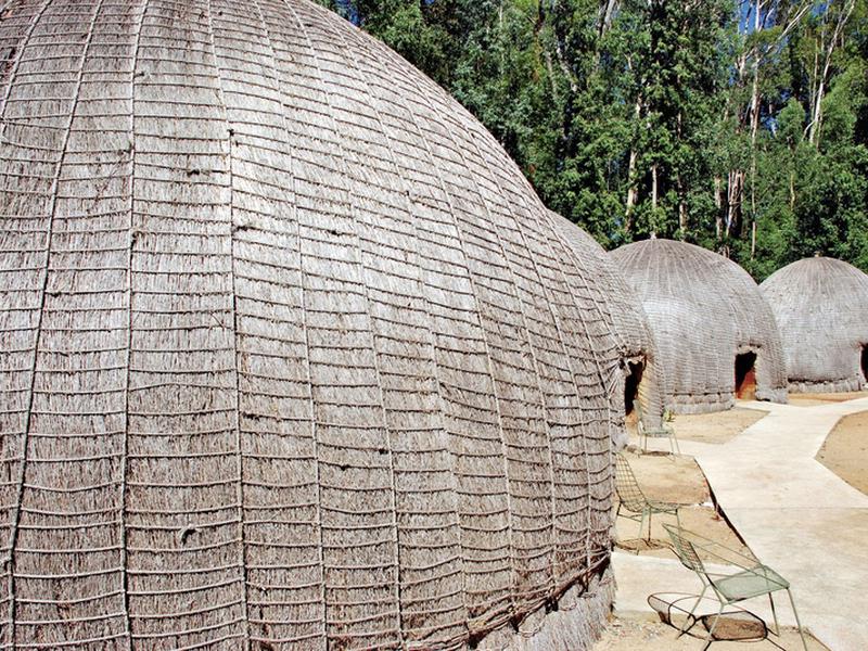 7A3E37A80265A64EB963313387E5B76E