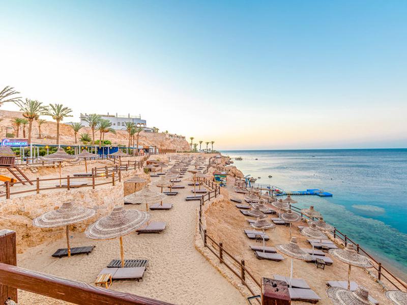 2B29EB43D99A49140A846E4216D7C7D9