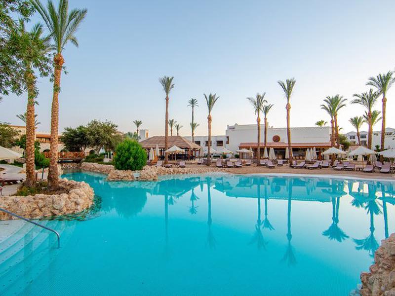 0BCAACBE243D6FA9769D61B9BC3D8A5A