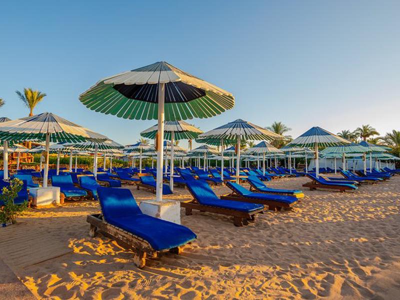 EA26FA3B57A4B893A80274F33A4D55BA