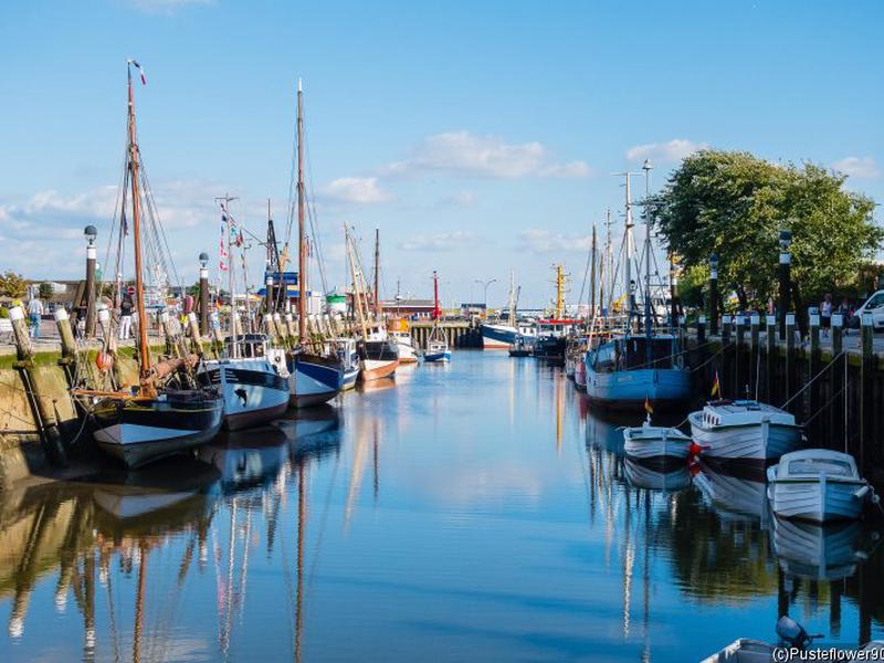 49E05A5EF574A5337CFBDF84F288D7C6