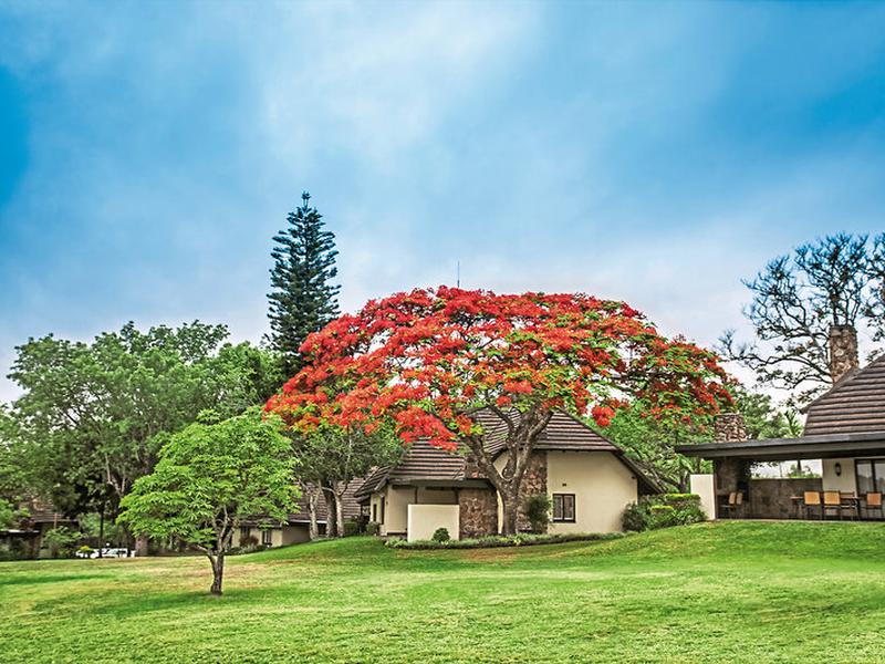 D83593E4A1E2D913A92F6575DF70601A